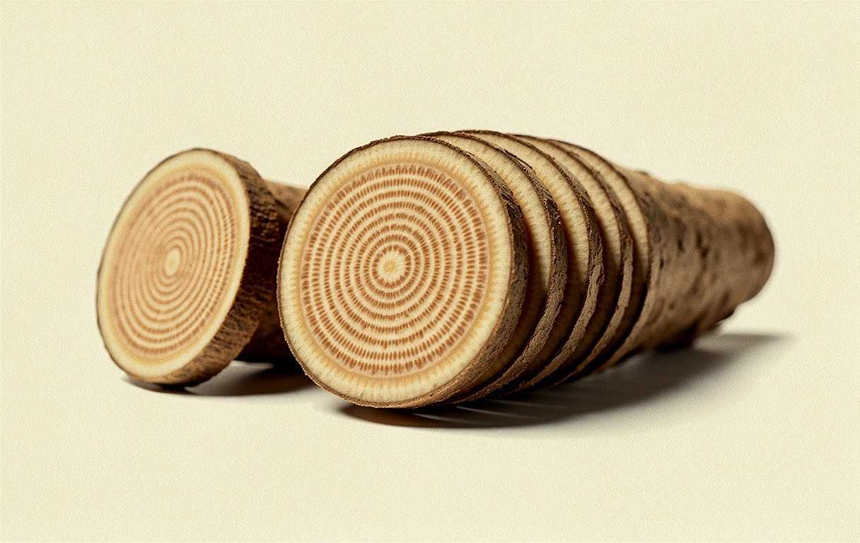 Ginseng Wurzel